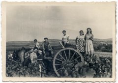 MOTOT - POCHERON